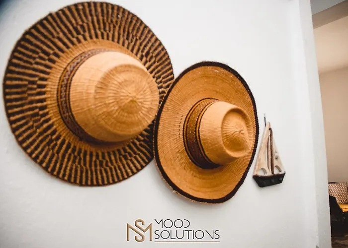 Pegasus Moodsolutions Living 펜션 페프코초리
